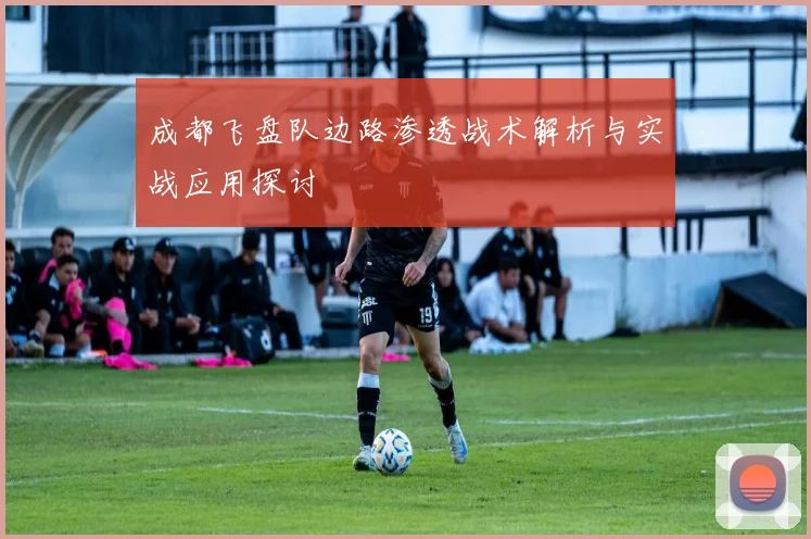 成都飞盘队边路渗透战术解析与实战应用探讨